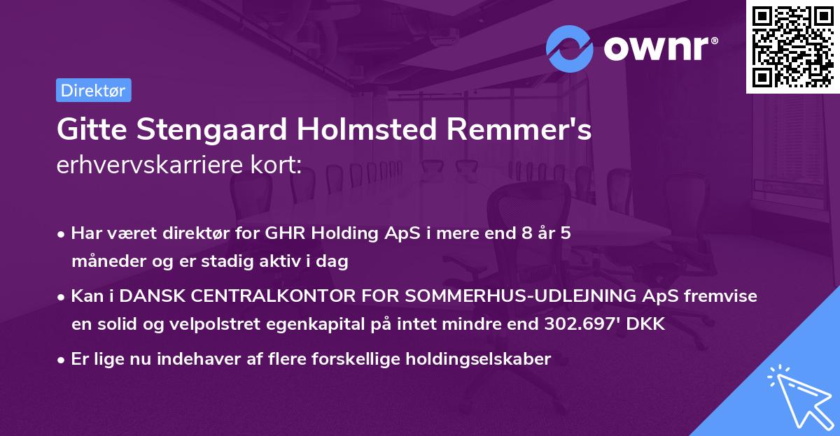 Gitte Stengaard Holmsted Remmer's erhvervskarriere kort