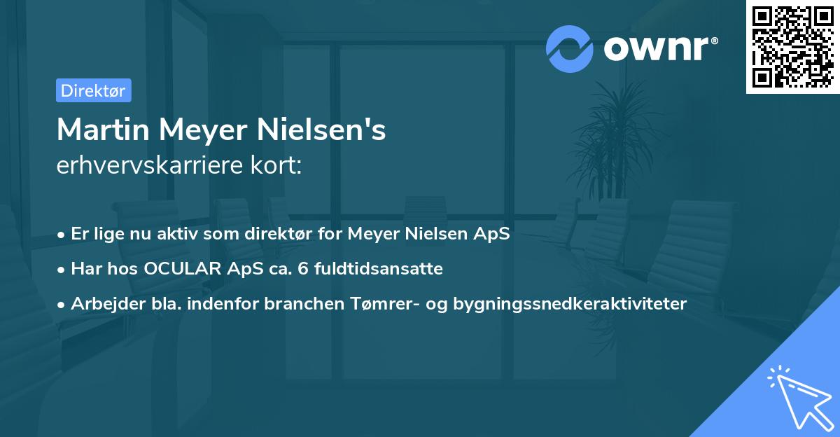 Martin Meyer Nielsen's erhvervskarriere kort