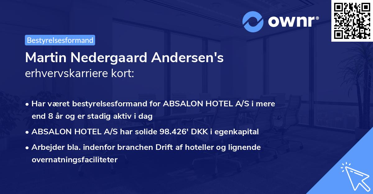 Martin Nedergaard Andersen's erhvervskarriere kort