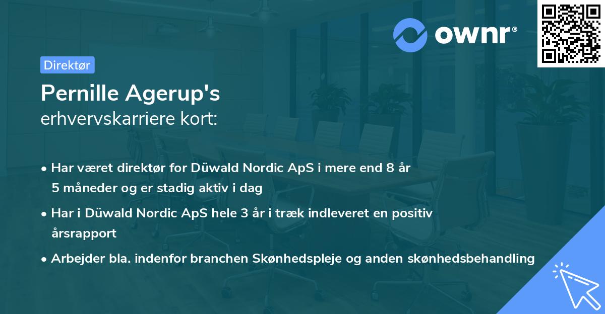 Pernille Agerup's erhvervskarriere kort