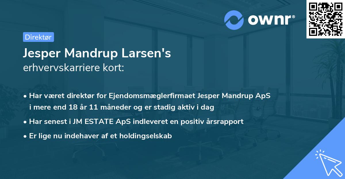 Jesper Mandrup Larsen's erhvervskarriere kort