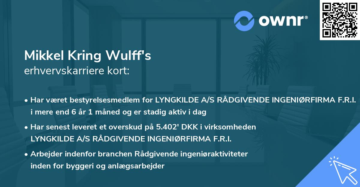 Mikkel Kring Wulff's erhvervskarriere kort