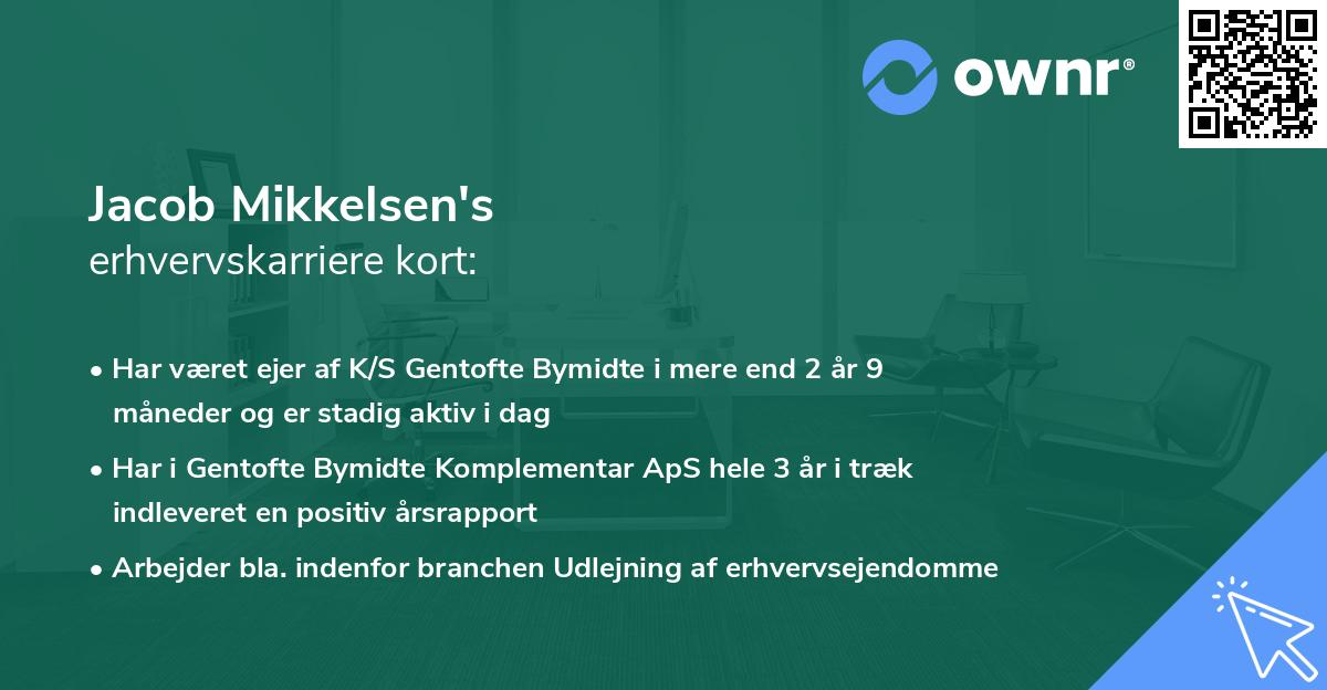 Jacob Mikkelsen's erhvervskarriere kort