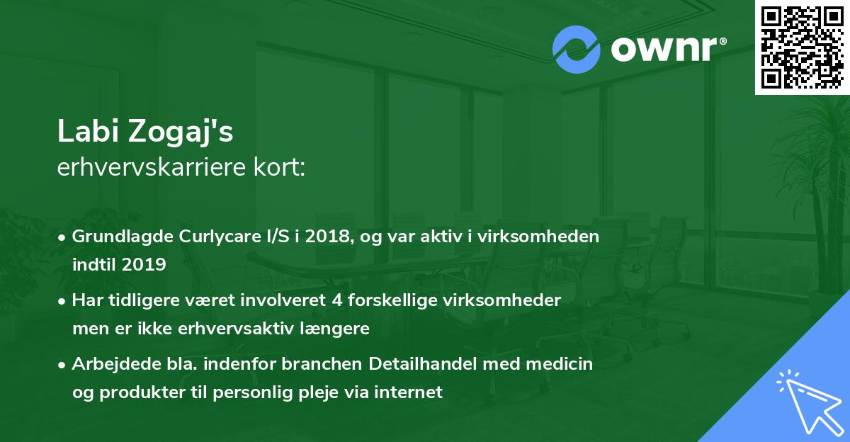 Labi Zogaj's erhvervskarriere kort