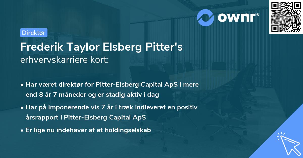 Frederik Taylor Elsberg Pitter's erhvervskarriere kort