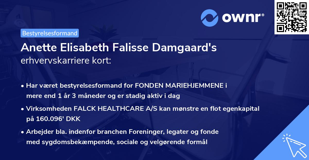 Anette Elisabeth Falisse Damgaard's erhvervskarriere kort