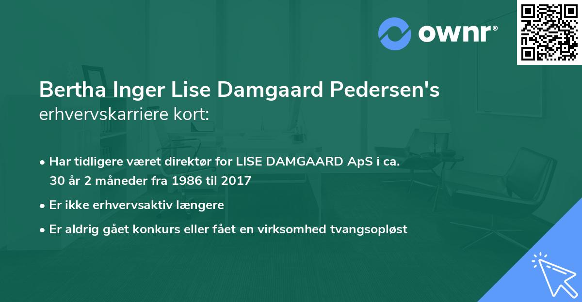 Bertha Inger Lise Damgaard Pedersen's erhvervskarriere kort