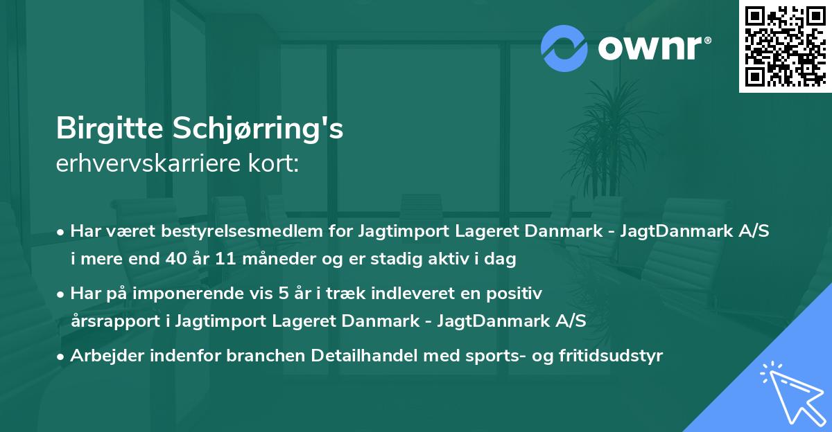 Birgitte Schjørring's erhvervskarriere kort