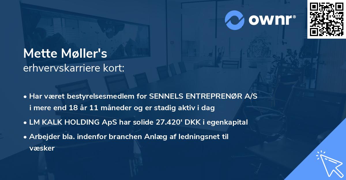 Mette Møller's erhvervskarriere kort