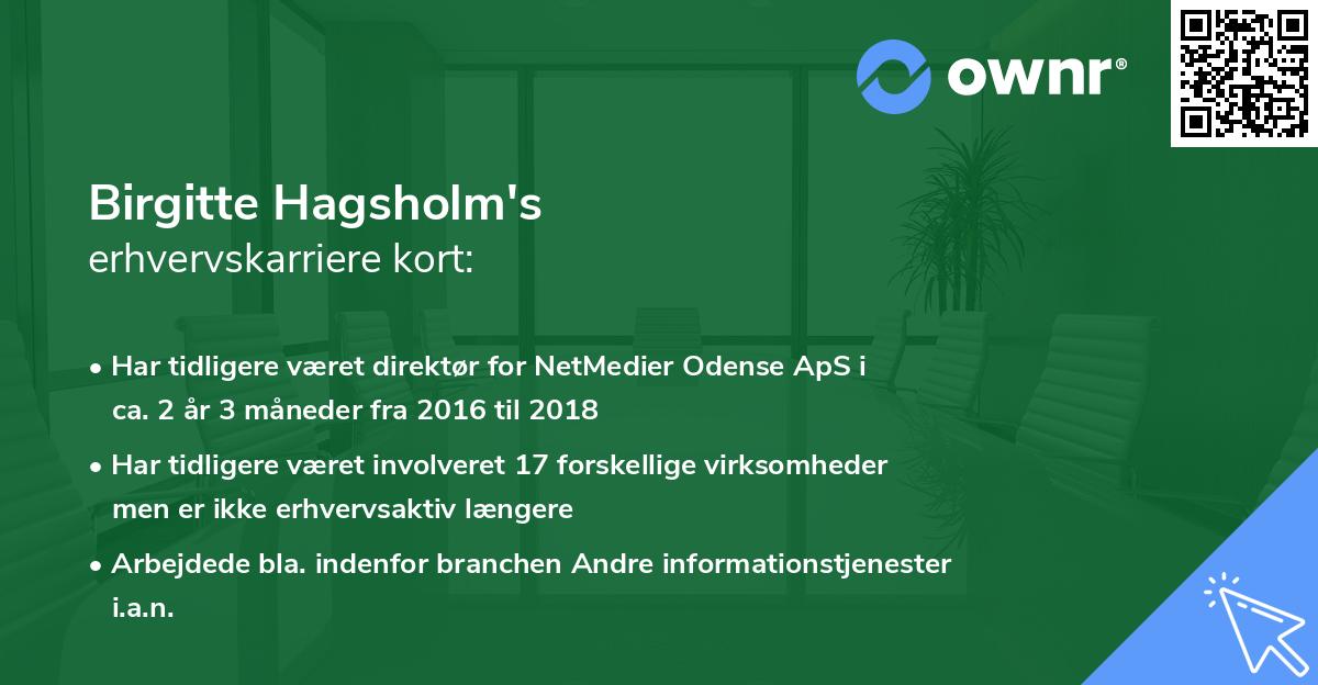Birgitte Hagsholm's erhvervskarriere kort