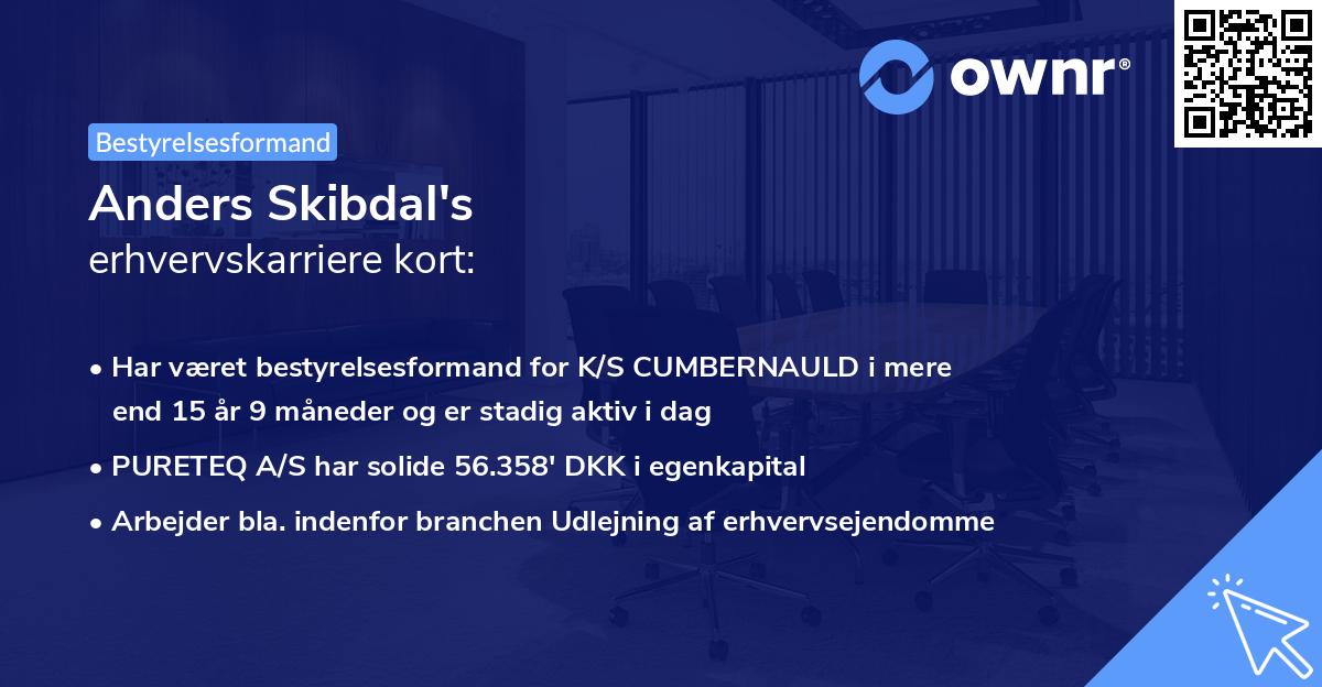 Anders Skibdal's erhvervskarriere kort