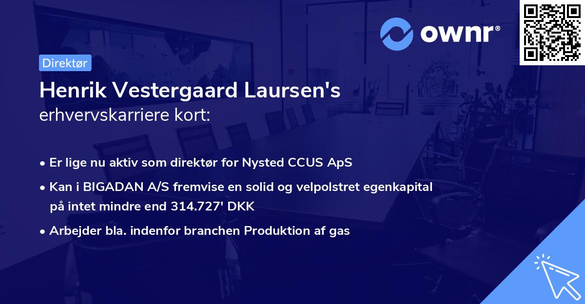 Henrik Vestergaard Laursen's erhvervskarriere kort