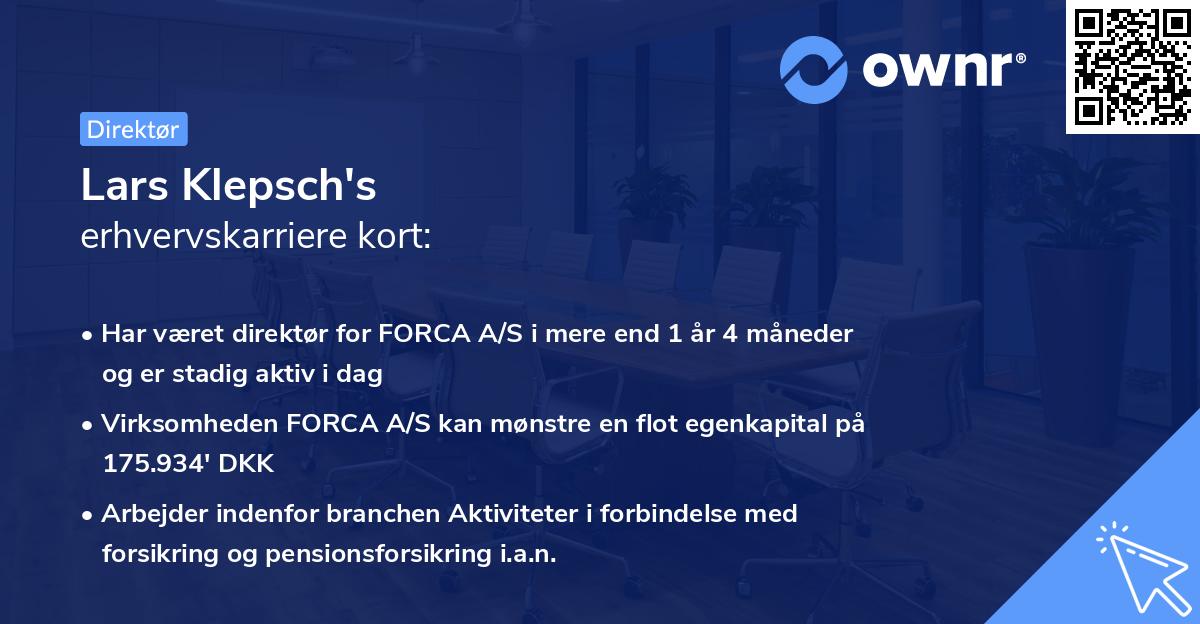 Lars Klepsch's erhvervskarriere kort