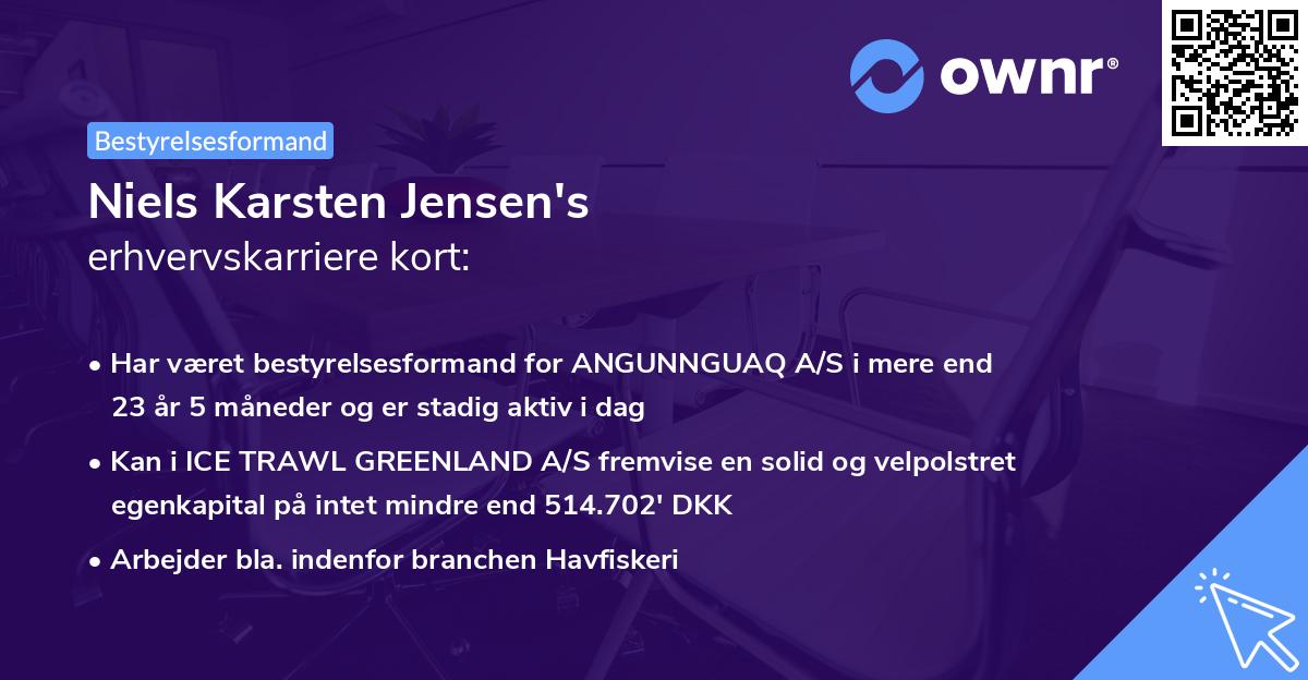 Niels Karsten Jensen's erhvervskarriere kort