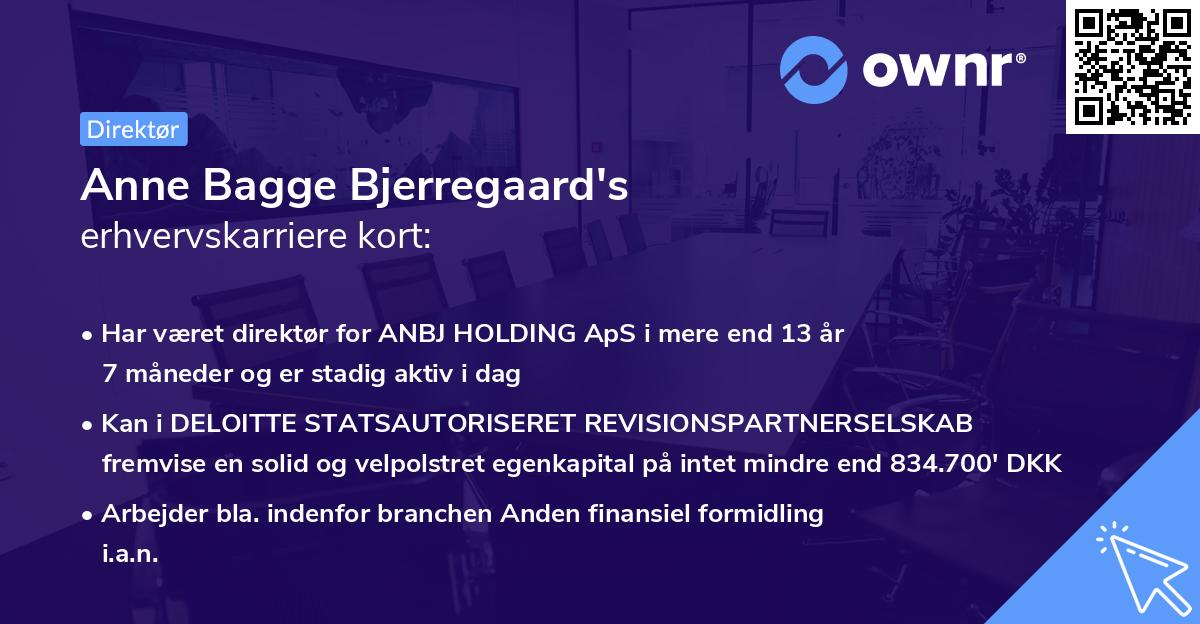 Anne Bagge Bjerregaard's erhvervskarriere kort