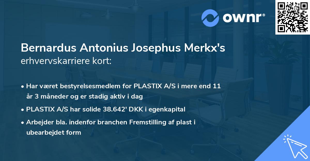 Bernardus Antonius Josephus Merkx's erhvervskarriere kort