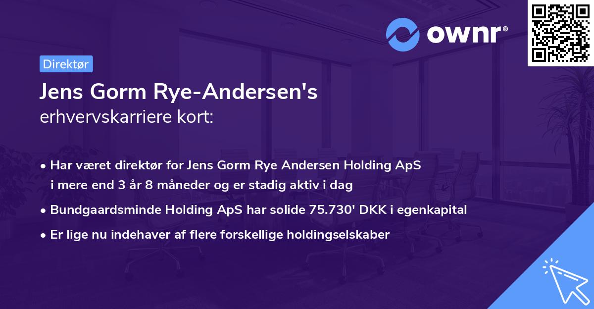 Jens Gorm Rye-Andersen's erhvervskarriere kort