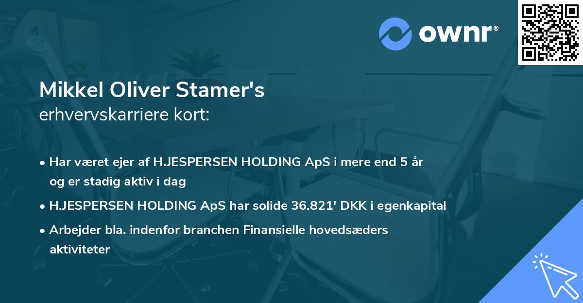 Mikkel Oliver Stamer's erhvervskarriere kort