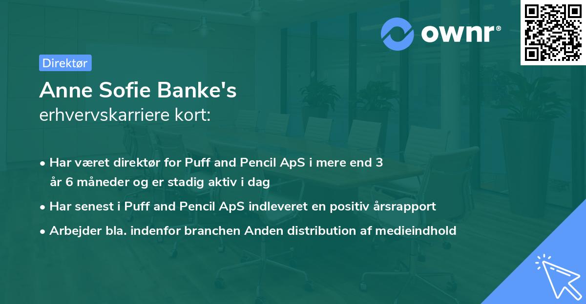 Anne Sofie Banke's erhvervskarriere kort