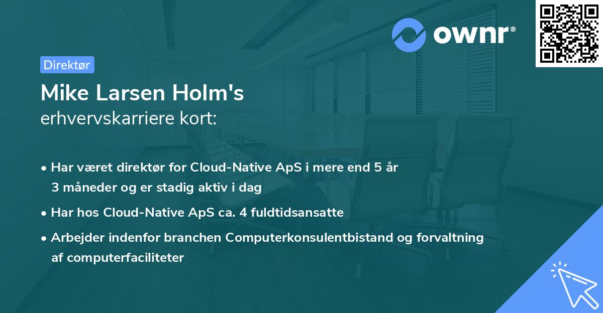 Mike Larsen Holm's erhvervskarriere kort