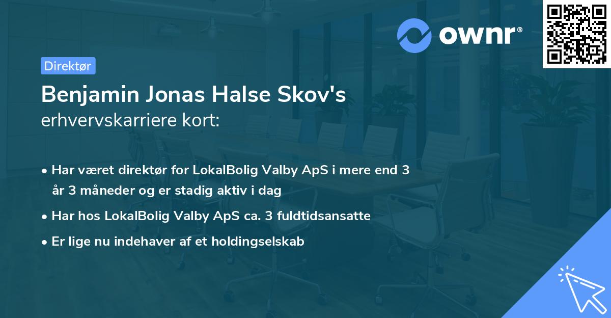 Benjamin Jonas Halse Skov's erhvervskarriere kort