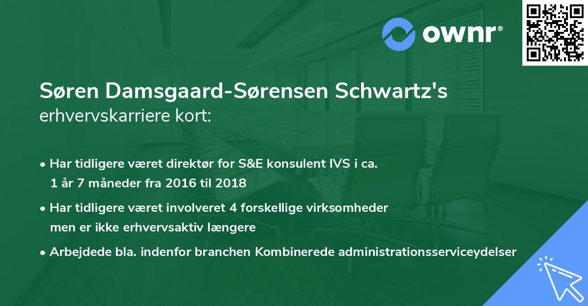 Søren Damsgaard-Sørensen Schwartz's erhvervskarriere kort