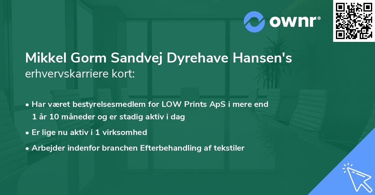 Mikkel Gorm Sandvej Dyrehave Hansen's erhvervskarriere kort