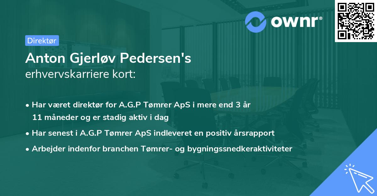 Anton Gjerløv Pedersen's erhvervskarriere kort