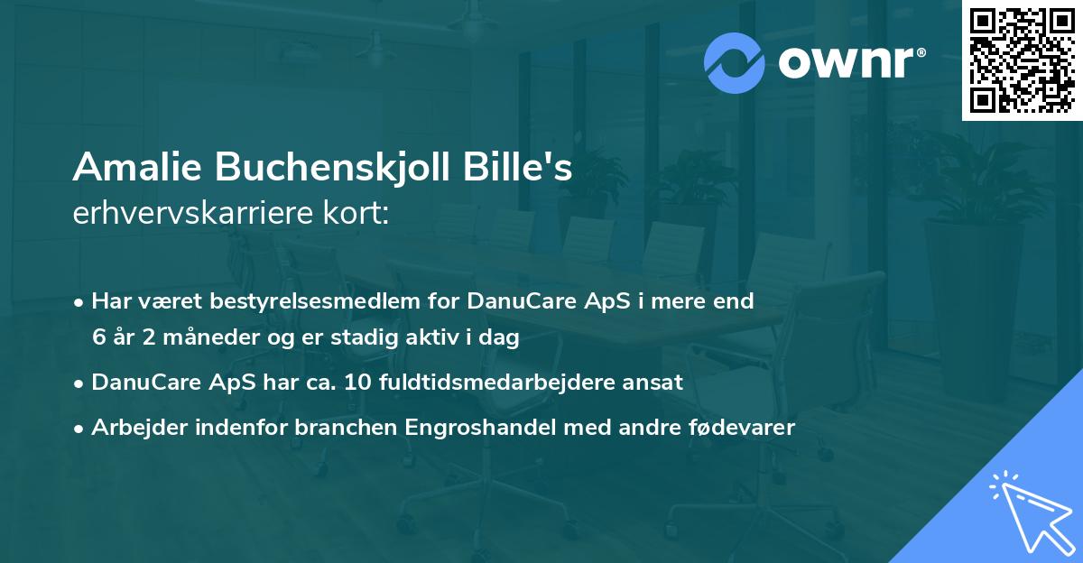 Amalie Buchenskjoll Bille's erhvervskarriere kort