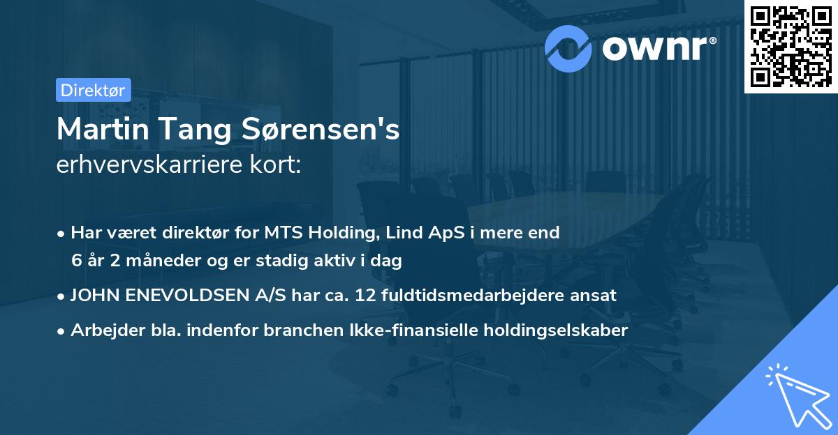 Martin Tang Sørensen's erhvervskarriere kort