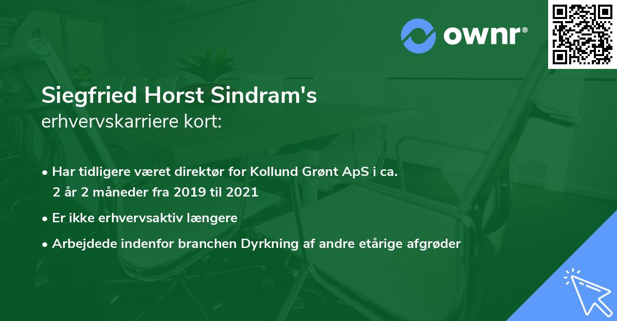 Siegfried Horst Sindram's erhvervskarriere kort