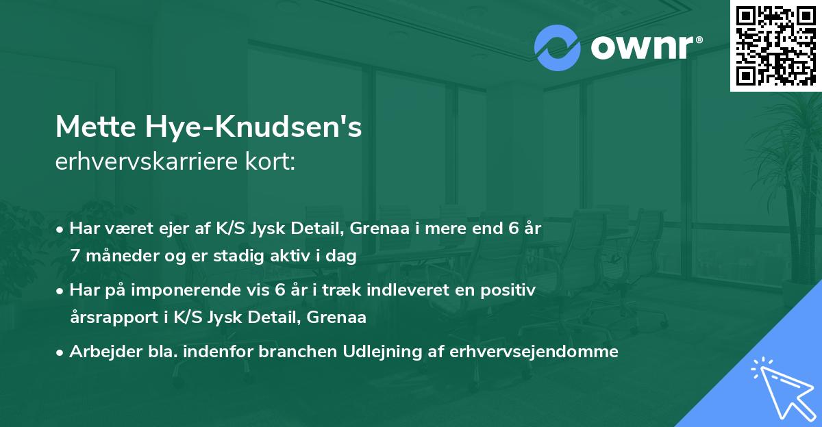 Mette Hye-Knudsen's erhvervskarriere kort