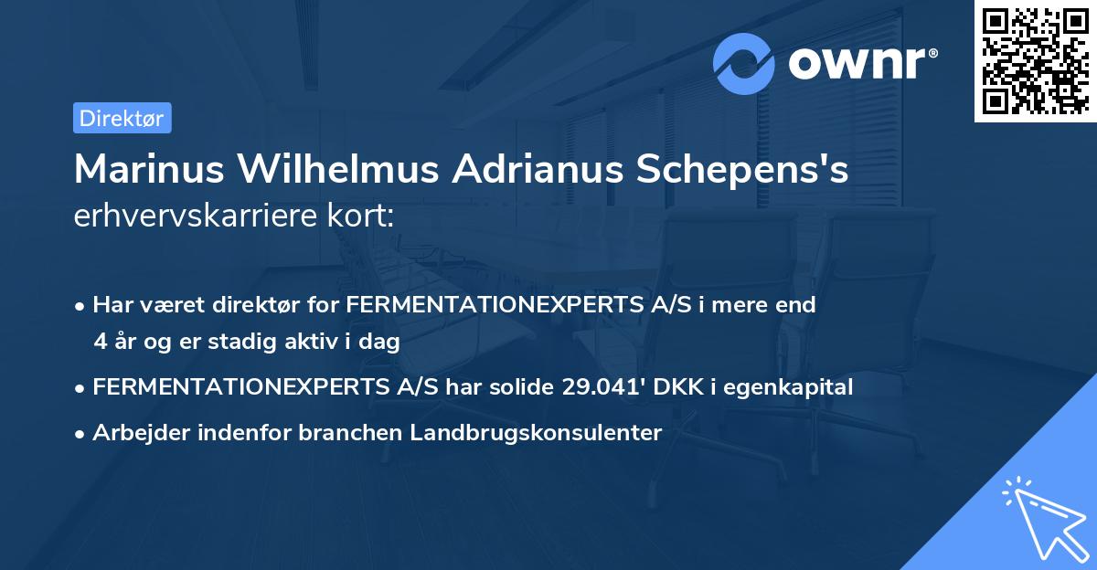 Marinus Wilhelmus Adrianus Schepens's erhvervskarriere kort