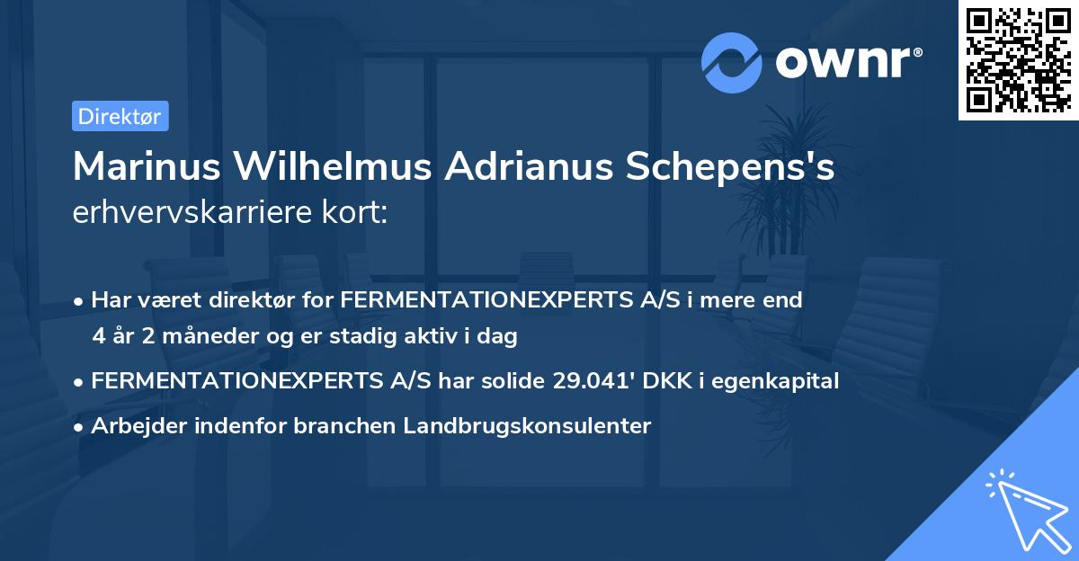 Marinus Wilhelmus Adrianus Schepens's erhvervskarriere kort