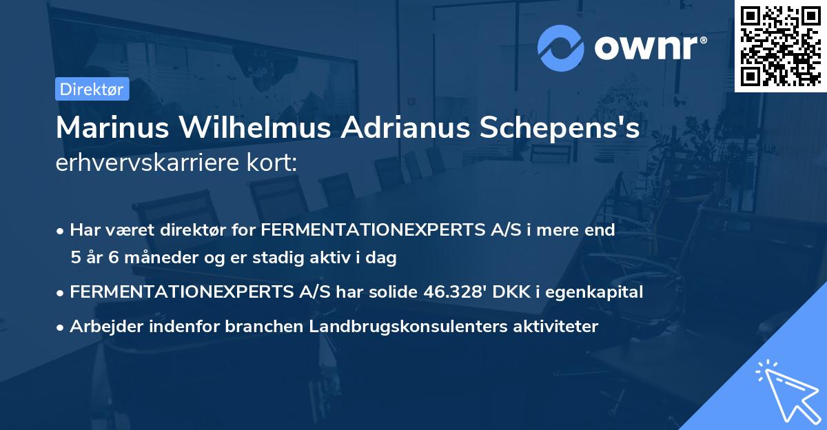 Marinus Wilhelmus Adrianus Schepens's erhvervskarriere kort