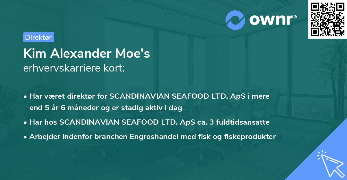 Kim Alexander Moe's erhvervskarriere kort