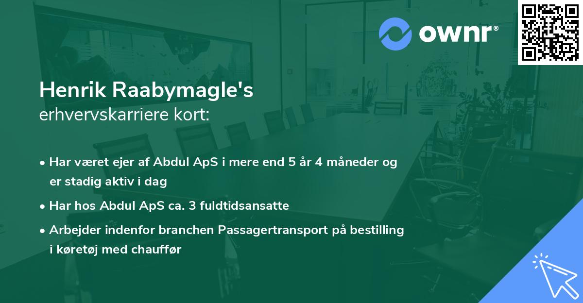 Henrik Raabymagle's erhvervskarriere kort
