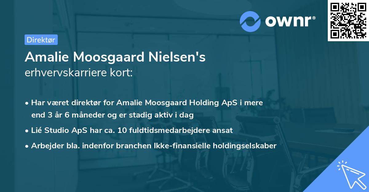 Amalie Moosgaard Nielsen's erhvervskarriere kort