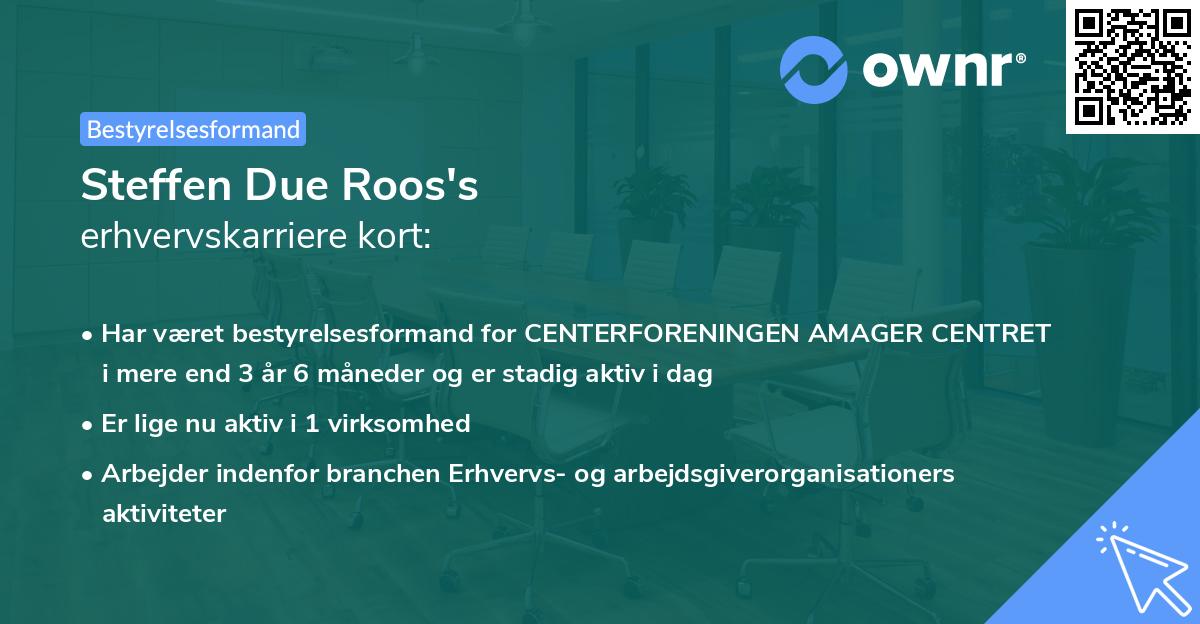 Steffen Due Roos's erhvervskarriere kort
