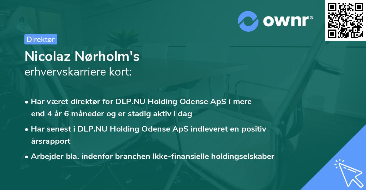 Nicolaz Nørholm's erhvervskarriere kort