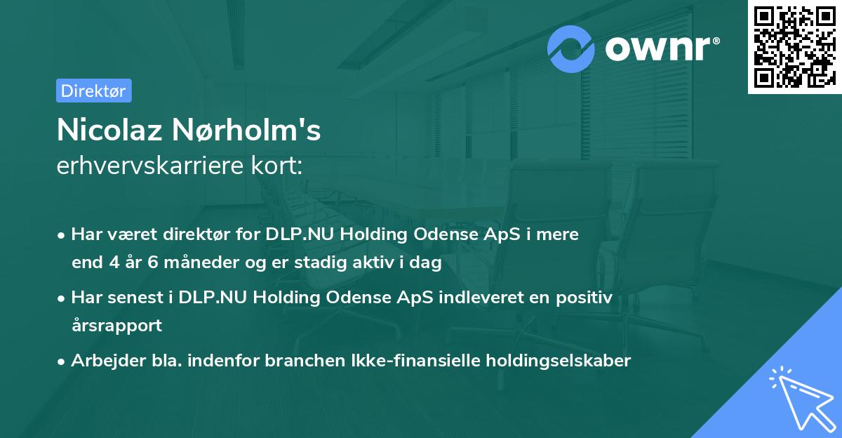 Nicolaz Nørholm's erhvervskarriere kort