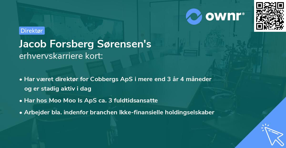 Jacob Forsberg Sørensen's erhvervskarriere kort