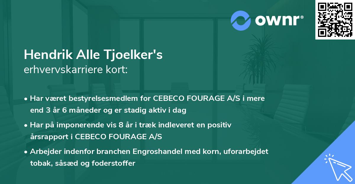 Hendrik Alle Tjoelker's erhvervskarriere kort