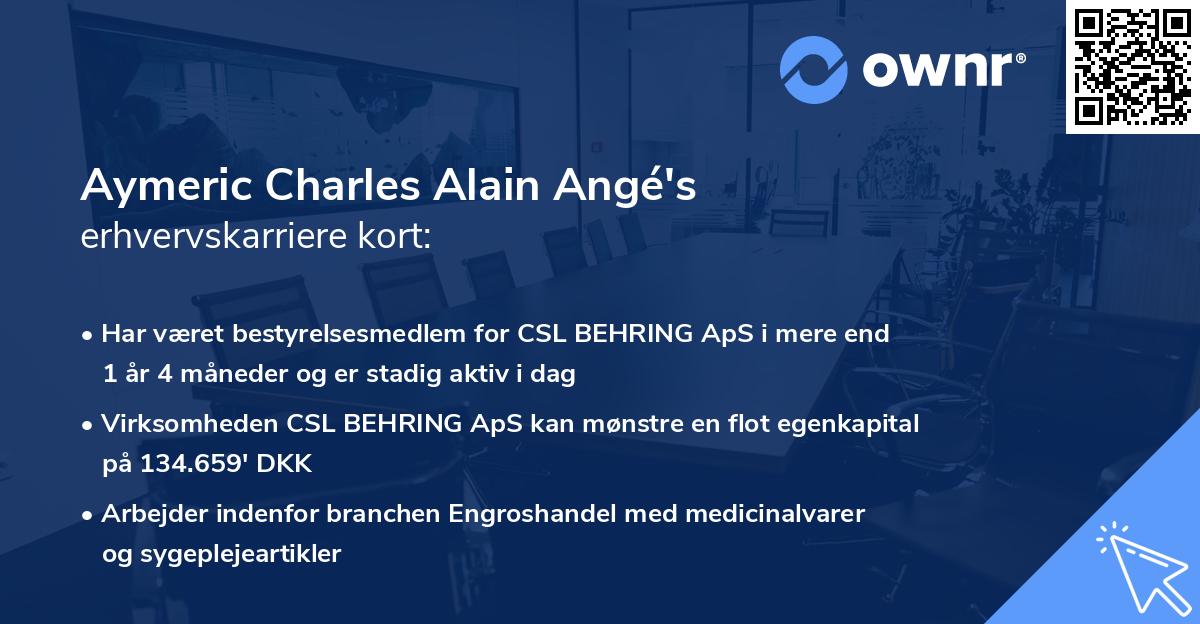 Aymeric Charles Alain Angé's erhvervskarriere kort