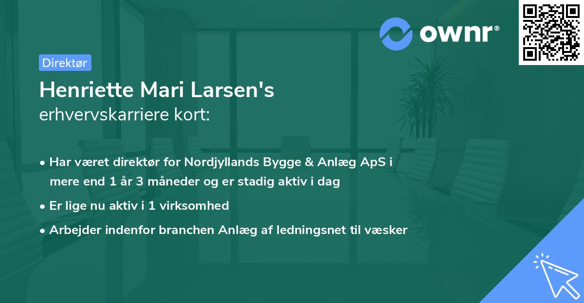 Henriette Mari Larsen's erhvervskarriere kort