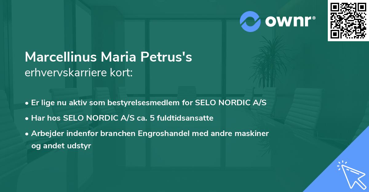 Marcellinus Maria Petrus's erhvervskarriere kort