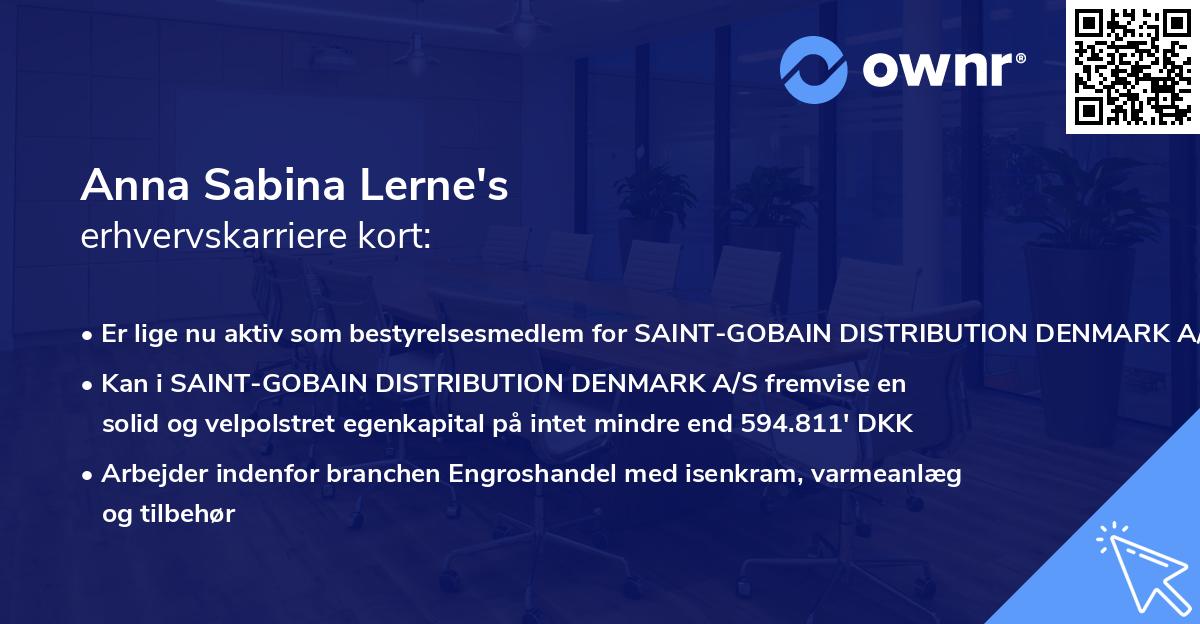 Anna Sabina Lerne's erhvervskarriere kort