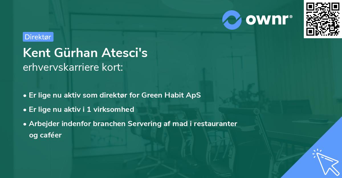 Kent Gürhan Atesci's erhvervskarriere kort