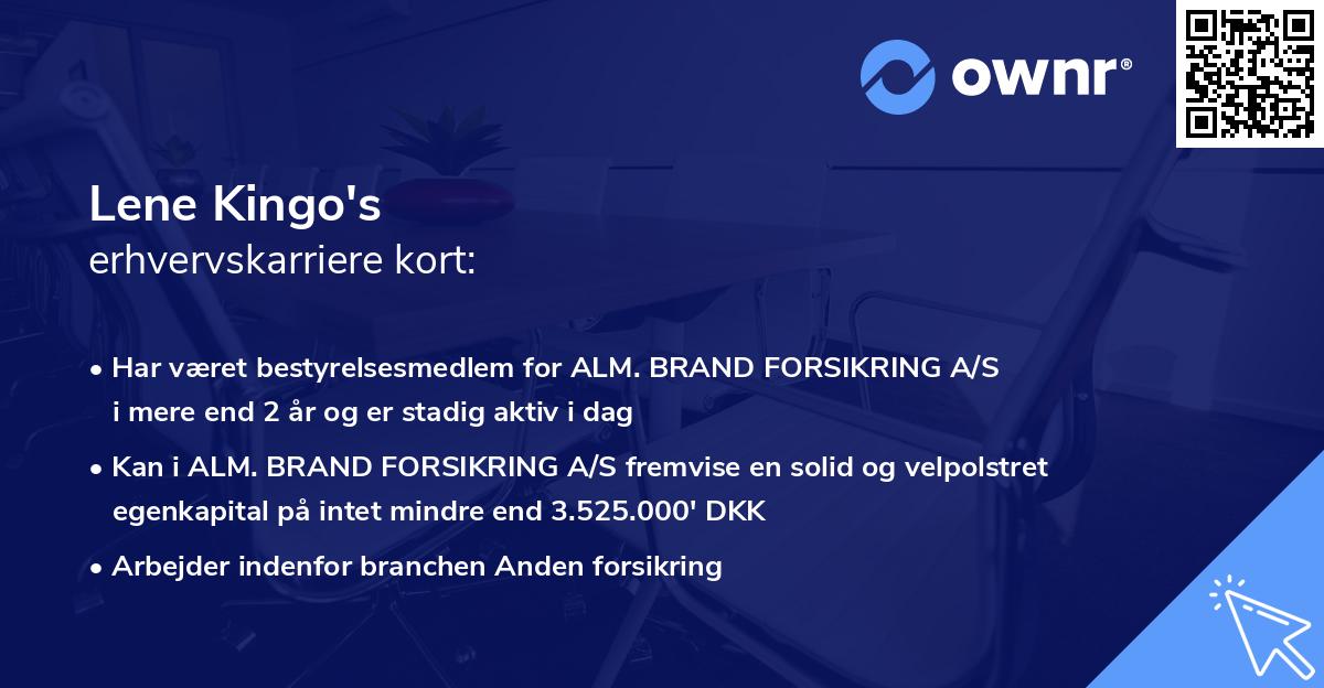 Lene Kingo's erhvervskarriere kort