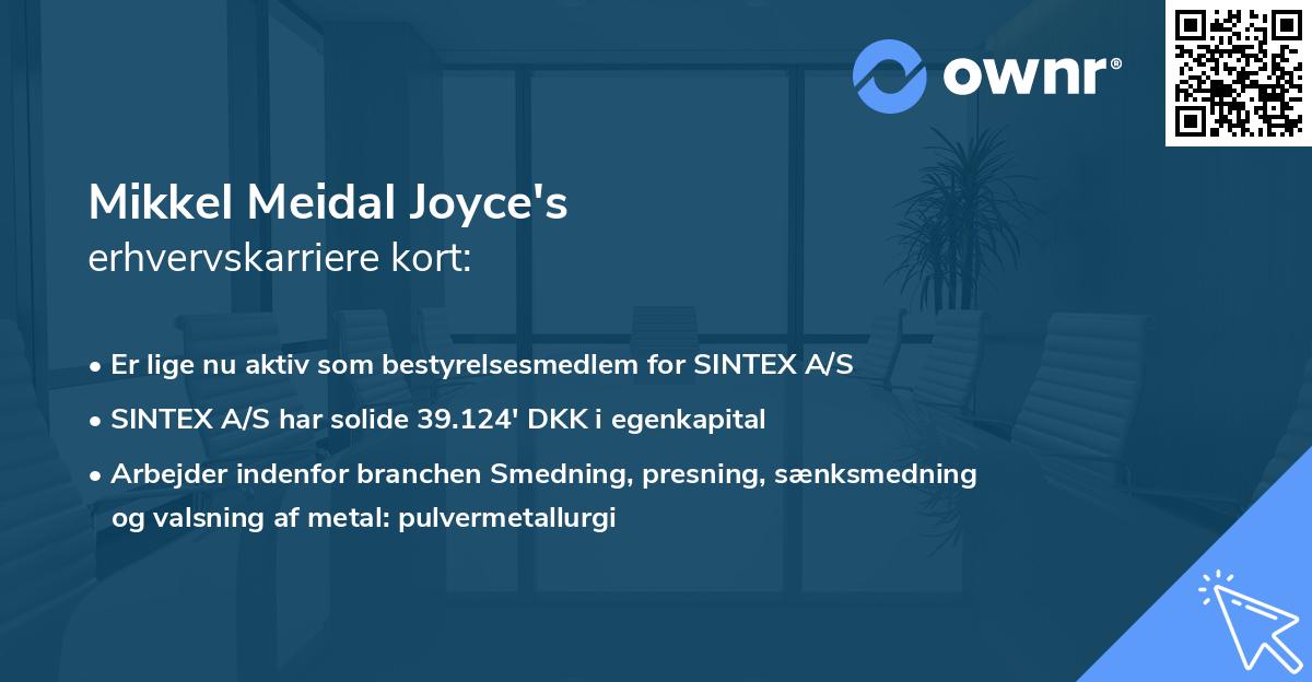 Mikkel Meidal Joyce's erhvervskarriere kort